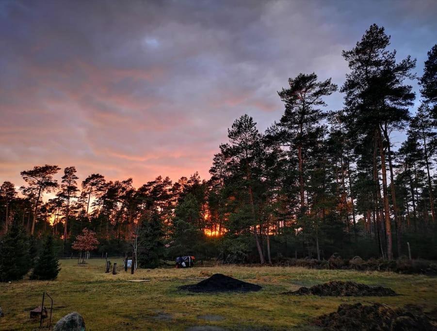 Gaestesuite Am Waldrand, Ausstieg Auf Zeit ハイデブリック エクステリア 写真